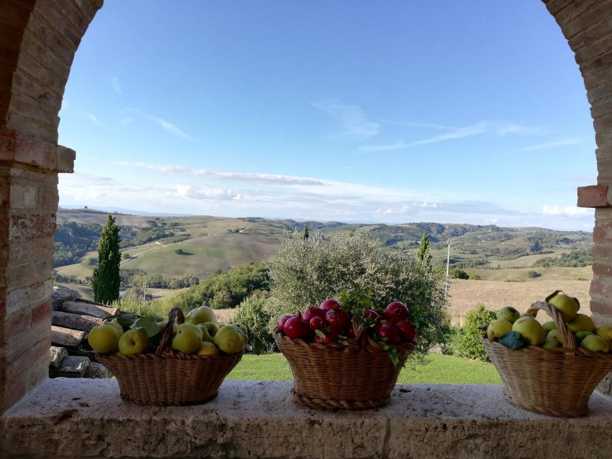 Agriturismo Monsole - Montalcino Exteriör bild